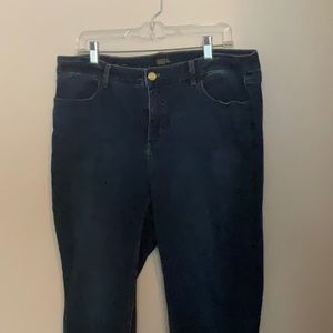 Talbots Jeggings 18WP